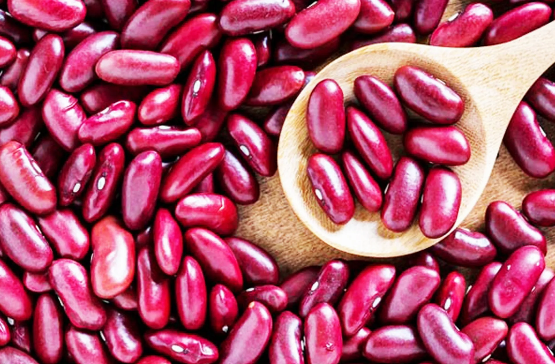 Kidney beans