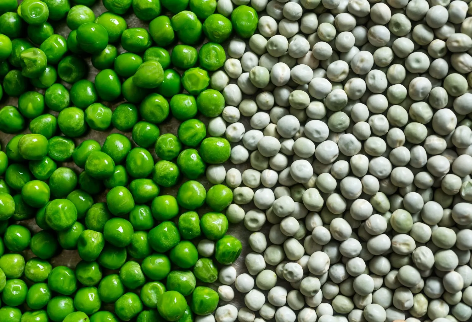 Pea