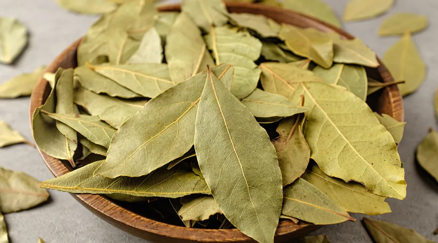 Bay Leaf